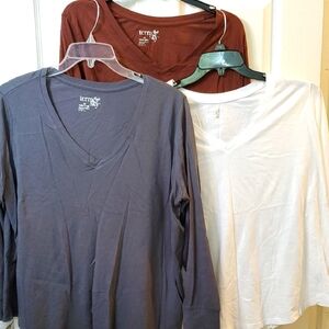 Terra & Sky Women's V-Neck Tops - White, Brown, and Gray Long Sleeve Set 3
